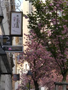 Kirschblüten, Bonn, Altstadt, Kitsch